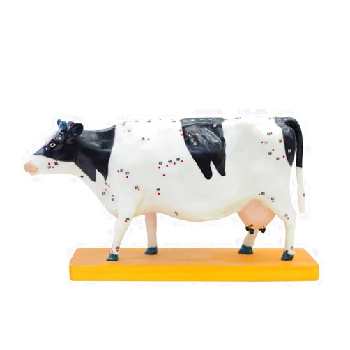 MaGiLL Cattle Acupuncture Model, Animal Anatomy Model, Traditional Medicine Cow Meridian Diagram Livestock Organ Teaching Model