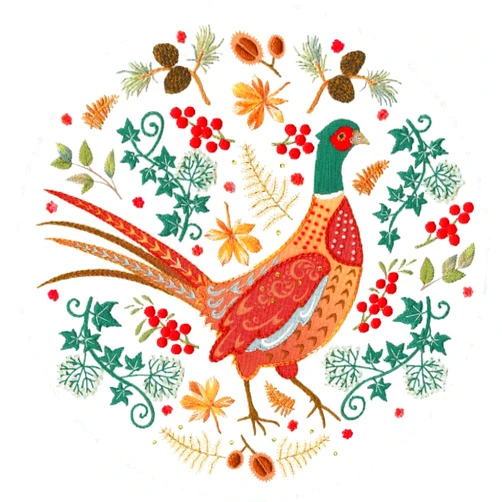 Bothy Threads The Home Of Happy Stitching Bothy Threads Embroidery Kit - Folk Pheasant