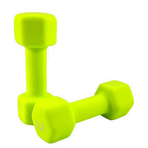 Saorzon Dumbbells Set of 2 Exercise Fitness Dumbbell for Home Gym Free Weights Hand Hex Dumb Bells