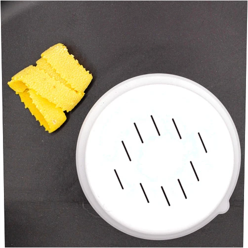 Pastadisc -Tagliatelle Pasta Shape Discs Fit For Philips Automatic Pasta & Noodle Maker Disc Compatible With Philips Pasta Maker Attachment Kitchen Appliance Maker Accessory Kit(Tagliatelle 10x0.8mm)