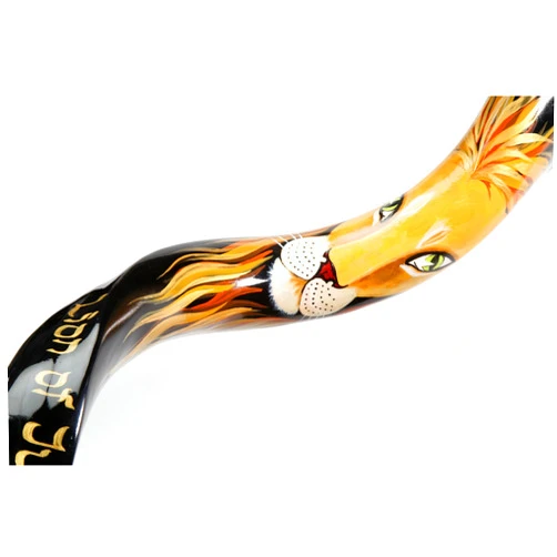 Yaliland Sale for shofar Yemenite Horn Extra Large 40-42