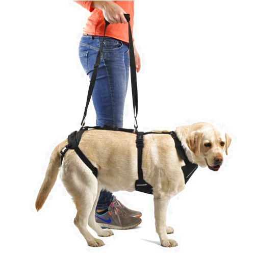 Ortocanis - Full-Body Dog Harness for Fore and Hind Support. Size M