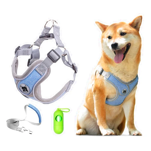 Patas Lague Dog Harness with Leash Set, No Pull No Choke Reflective Step in X Head Dog Harness Vest for Small Medium Dogs with Poop Bags and Dispenser, Adjustable and Padded, Blue Small
