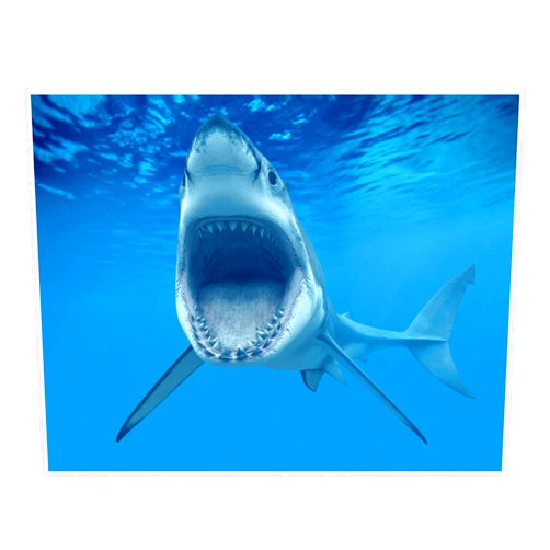 Art of Eric Gunty 1/4 Sheet ~ Shark Attacking Birthday ~ Edible Cake/Cupcake Topper By Art of Eric Gunty - d3888