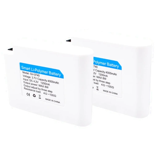 QILOVE Rechargeable Battery Pack for Heated Socks and Electric Gloves