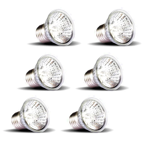 OMAYKEY 75W 6 Pack UVA + UVB Full Spectrum Sun Lamp Sunbathe Heat Lamp/Bulb/Light for for Lizard Bearded Dragon Chameleon Snake Turtle Aquarium Reptiles & Amphibians