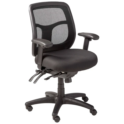 Ergohuman Eurotech Seating Apollo Multi function Swivel Chair with Seat Slider, Black