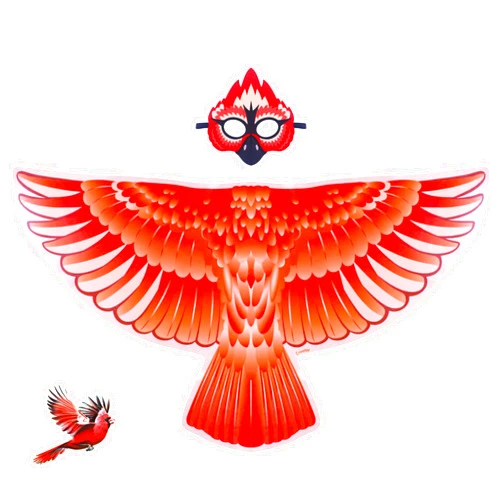 Creatoy Bird-Costume for Kids Eagle-Wings Parrot Costume Hawk Owl Dress Up for Boys Girls Party Halloween Favors Gifts Toys