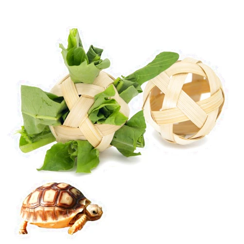 Vitisyao Tortoise Treat Ball, Hay Feeder Ball for Small Animals, Foraging Toy for Turtle, Guinea Pig and Rabbit