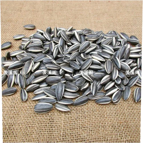 LEDABAO 200pcs Art Ai Weiwei Porcelain Sunflower Seeds Decoration Collection