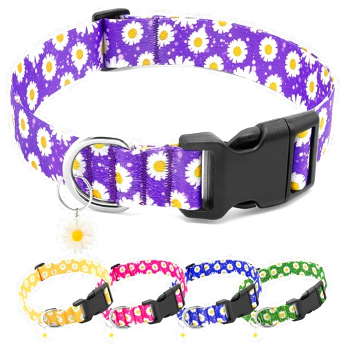 BiPawTi Cute Dog Collars for Medium Dog - Soft Dog Collars for Girls Dog Pretty Floral Flower Collar with Daisies Charms for Female Dog Male Dog (M, Purple)