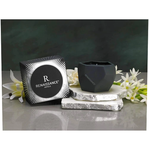 Renaissance Hotels Shiso Tea Candle - Hand-Poured Soy Blend Candle Crafted by Joya Exclusively for Renaissance Hotels - Signature Shiso Tea Scent - Black Wax in Ceramic Vessel - 8.5 oz