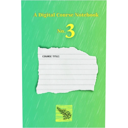 By Alon Goldstein-Chayun (Author) A Digital Course Notebook: No. 3
