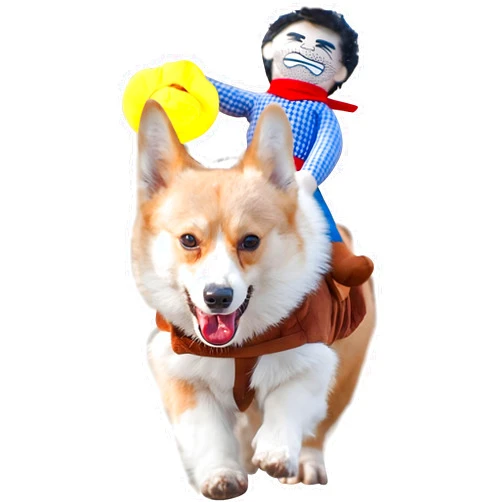 DELIFUR Dog Halloween Costume Funny Dog Cowboy Riding Costume Pet Costume Cat Suit Cowboy Rider Style for Small Medium Large Dogs (X-Large)