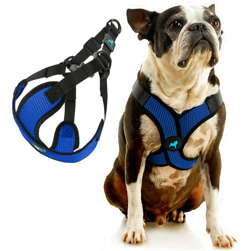 Gooby Comfort X Step in Lite Dog Harness - Choke Free, Escape Free with Light Breathable Mesh - Step in Dog Harness for Small and Medium Dogs - Quick Release Buckle, Metal D-Rings - Blue, Small