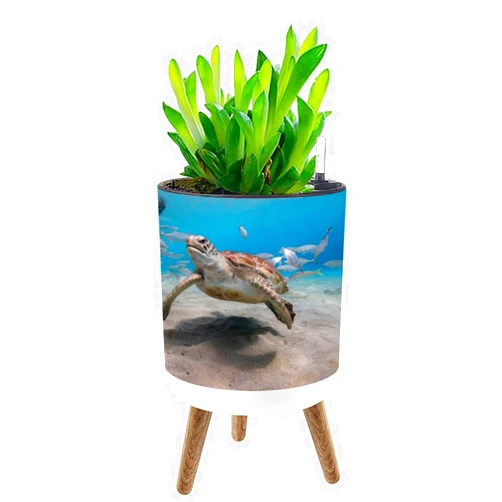 UHMLTCRBOD Planter with Stand Green Sea Turtle Shallow Water Coral Caribbean Sea Boho Plant Pot with Legs Standing 8.7” Self-Watering Flower Pots with Water Inlet & Water Level Indicator Indoor Decor