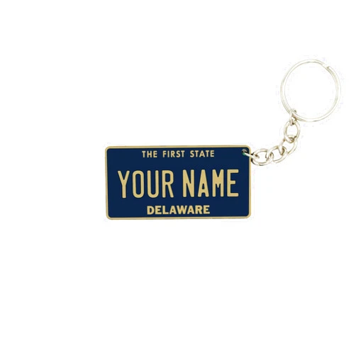 Generic License Plate Keychain - Personalized - All States Multicolor