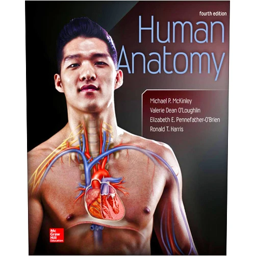 Michael McKinley,Valerie O'Loughlin,Ronald Harris,Elizabeth Pennefather-O'Brien Human Anatomy