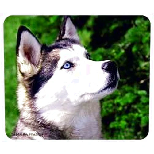 Lumalack Siberian Husky Mousepad