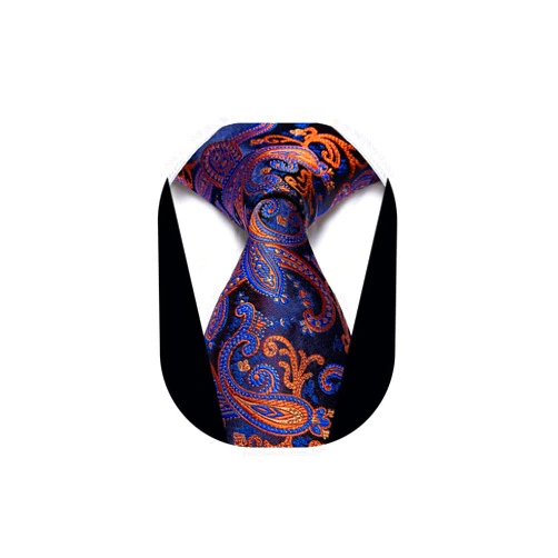 YourTies 3.15'' Men's Necktie Paisley Floral Silk Ties for Men Formal Business Party Tie