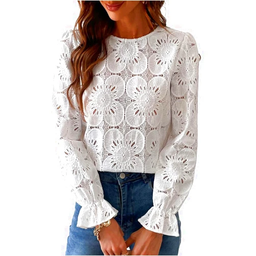 IDEALSANXUN Eyelet Tops for Women Spring Summer Long Sleeve Crewneck Hollow Out Crochet Lace Embroidered Shirt Blouse