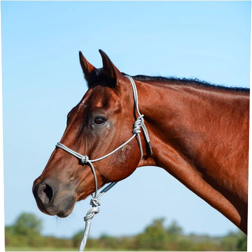 Classic Equine Rope Halter and 9-Foot Leadrope, Grey