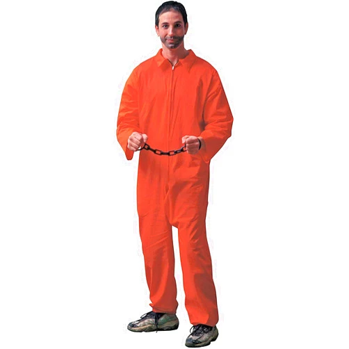 Rubies Forum Novelties mens Jailbird Adult Sized Costumes, Orange, Standard US