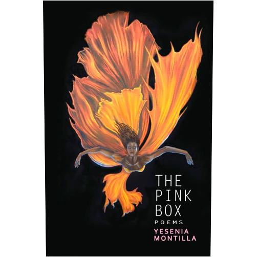Yesenia Montilla,Randall Horton The Pink Box (Willow Books Emerging Poets & Writers)