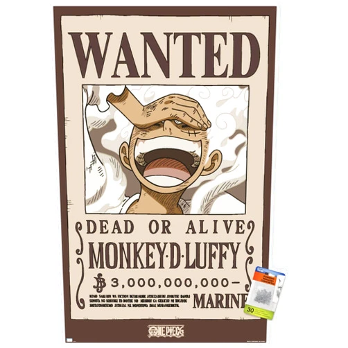 Trends International One Piece - Monkey D Luffy Wanted Poster Wall Poster with Push Pins, 22.37