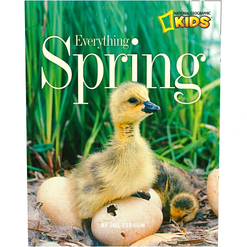 Jill Esbaum Everything Spring (Picture the Seasons)