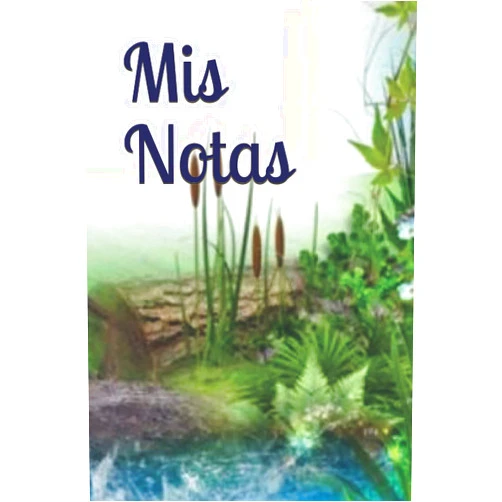 A. Danles M G Danles Mis Notas (Spanish Edition)