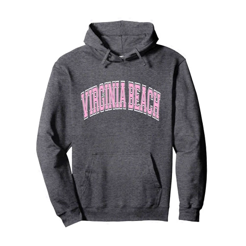 133 Apparel Virginia Beach VA Virginia Beach Arched Pink Text Pullover Hoodie