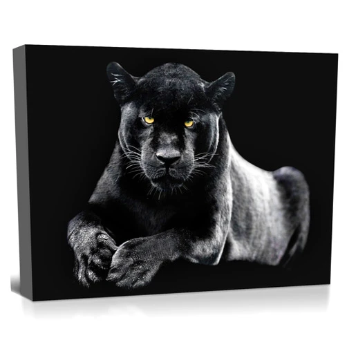 OOLAHLAH Black & White Panther Canvas Wall Art Wildlife Animal Pictures Prints Wild Leopard wIth Yellow Eyes Paintings Modern Framed Artwork for Living Room Bedroom Bathroom Office Decorations 12