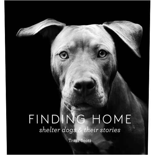 Traer Scott Finding Home: Shelter Dogs and Their Stories