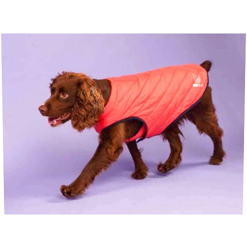 DIGBY & FOX Shires Padded Dog Coat