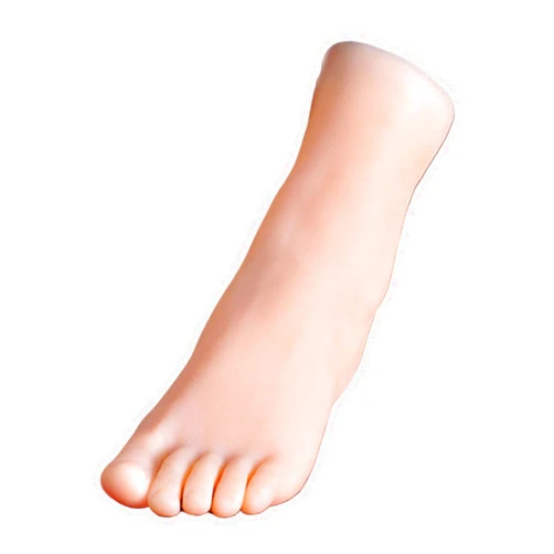 Fvmkiuyhn Silicone Female Model Feet 1: 1 Life Size Realistic Mannequin Foot Full Silicone Styles, Mannequin Display Shoes Display Jewelry Sandal Shoe Sock Display Art Sketch (Left Foot-Without Skeleton)