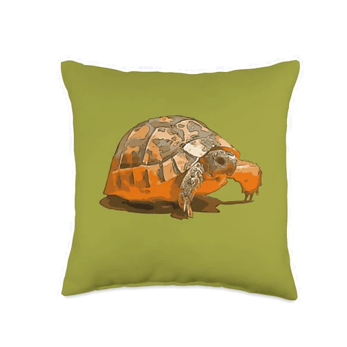 Tortoise Gifts And Land Turtle Tees by taiche Cartoon Portrait of A Baby Wild Tortoise Black Outline Art Throw Pillow, 16x16, Multicolor