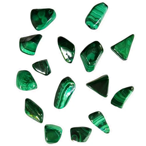 GeoFossils Malachite Large Tumbled Stone