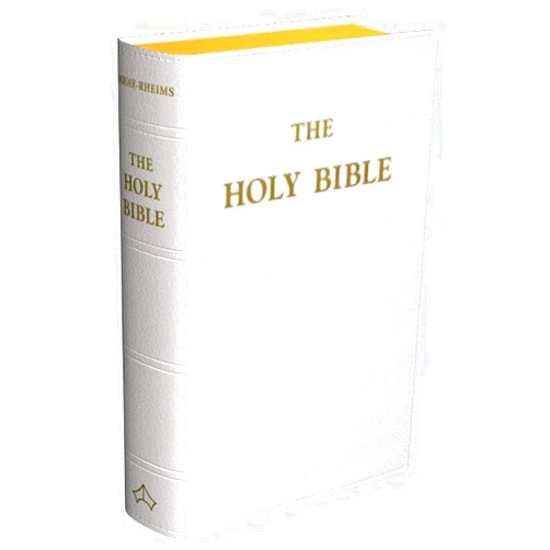 By Roman Catholic Church (Author) Douay-Rheims Bible (Standard size - White Flexible Cover)