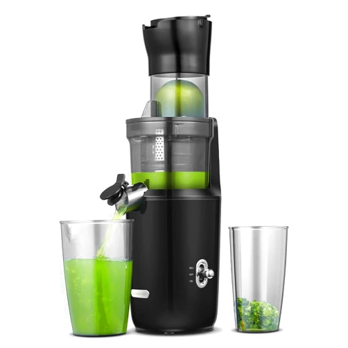 AMZCHEF Whole Fruit Juicer Machines, 80MM Large Feeding Chute Slow Masticating Juicer, Powerful Cold Press Juicers with Upgrade Auger, Double-Layer Filter, Retro Toggle Switch, Quiet Motor-Light black
