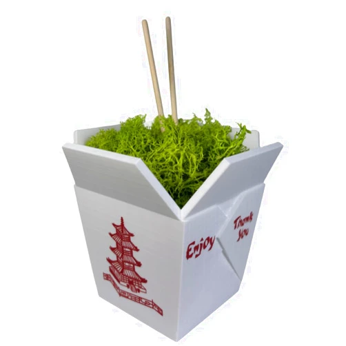 AXICIR Chinese Take-Out Box Planter 3D Printed Flower Pots for Indoor Plants Unique Gifts for Women (Moss Not Included)