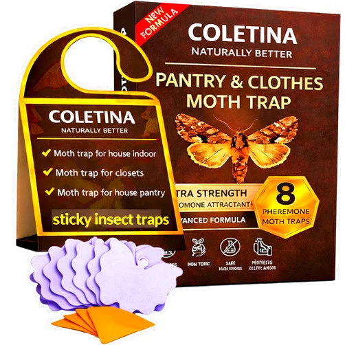Generic COLETINA Moth Traps for House Indoor Pantry Moth Trap Clothes with Pheromones 8 Pack for Closet Wardrobe Kitchen Food Storage Odorless Non Toxic Strong Glue Plus 8 Fly Catchers for Home