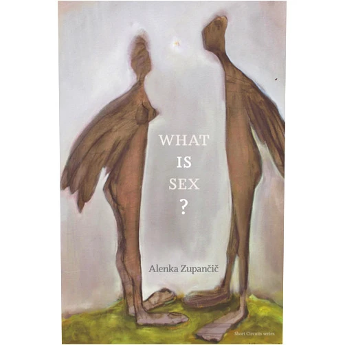 Alenka Zupancic What IS Sex? (Short Circuits)