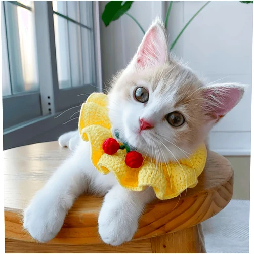 Jatmira Cute Cat Bow Collar Breakaway Floral Aesthetic Cats Bowtie Collar Knitted for Indoor Cats Kitten and Small Dogs Puppies (M (9-20lbs))