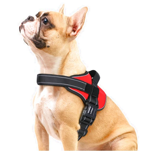 rabbitgoo Dog Harness Small Sized, No Pull No Choke Pet Vest, Easy Wearing with One Buckle, Reflective, Adjustable Pet Harness with Molle for Walking, Training, Red, S