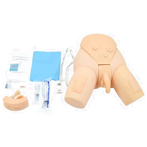 CHIPEL Male and Female Catheterization Model Medical Practice Traning Model for The Training Template Medical Practice Nurse