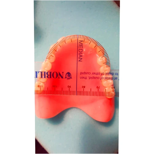 LeeMark Flexible Denture Millimeter Dental Ruler Trubyte