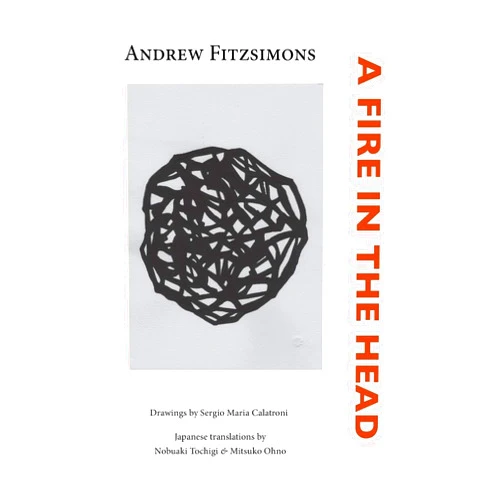 Andrew Fitzsimons,Nobuaki Tochigi,Mitsuko Ohno A Fire in the Head