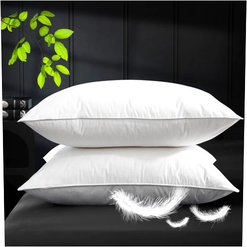 Ivellow Goose Down Pillow Hotel White Goose Feather Bed Pillow for Sleeping Queen Size Set of 2 100% Cotton Pillow Cover Luxury Cloud Soft Breathable Fluffy Pillow for Back, Side, Stomach Sleepers