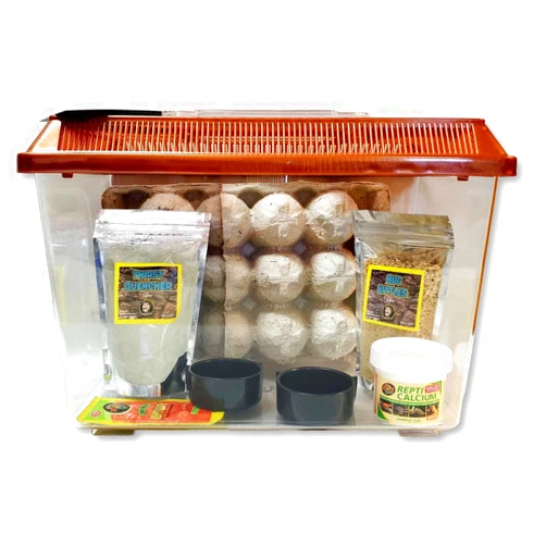 Jungle Bob Dubia Keeper Kit with 11x7x8 Escape-Proof Plastic Tank & Ventilated Lid, Bug Vittles, Thirst Quencher, Vitamins, Egg Crate, & Feeding Dish